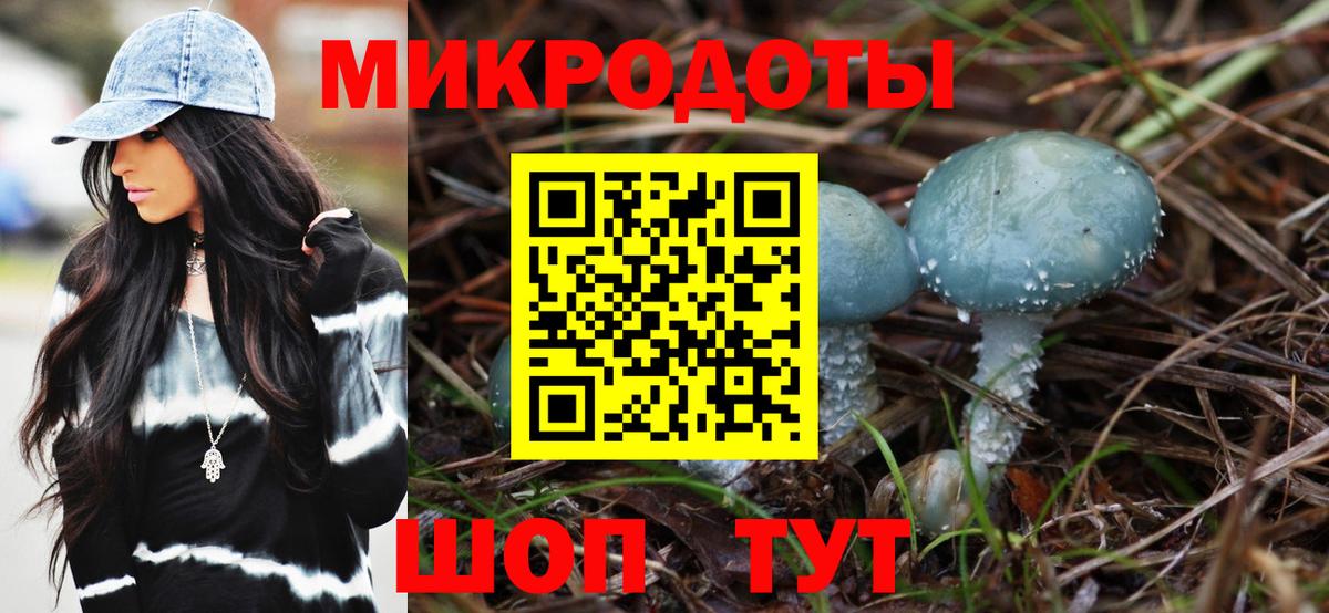 Псилоцибиновые грибы Psilocybe  Вход с VPN  Сарапул 