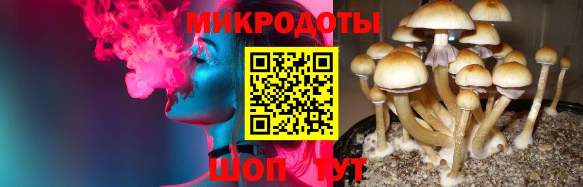Псилоцибиновые грибы мухоморы Сарапул